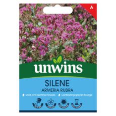 5051618036375 1 Silene Armeria Rubra Seeds.jpg